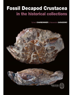 Fossil Decapod Crustacea in the historical collections